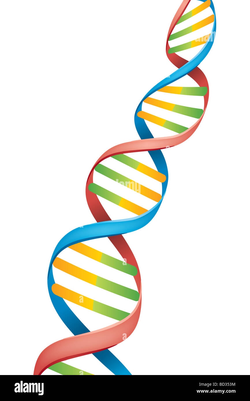 Colorful DNA double helix illustration